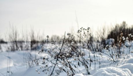 Nawet 70 cm śniegu w kilka dni. IMGW ostrzega przed silnym atakiem zimy