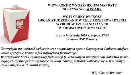 Wybory uzupełniające w Winiarach