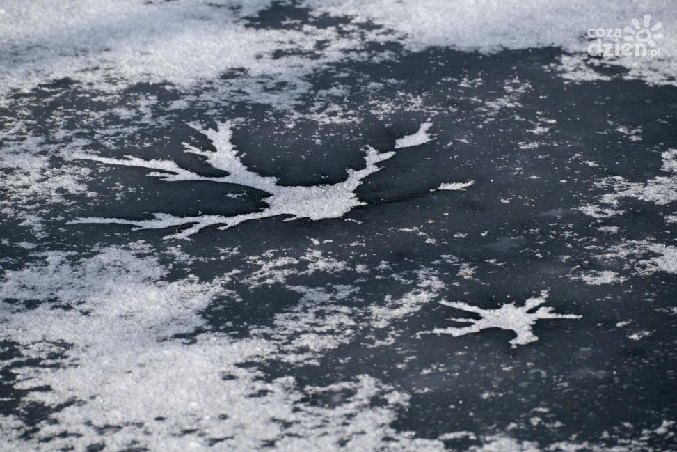 Zamarznięte akweny to śmiertelna pułapka. Służby apelują o rozwagę zimą