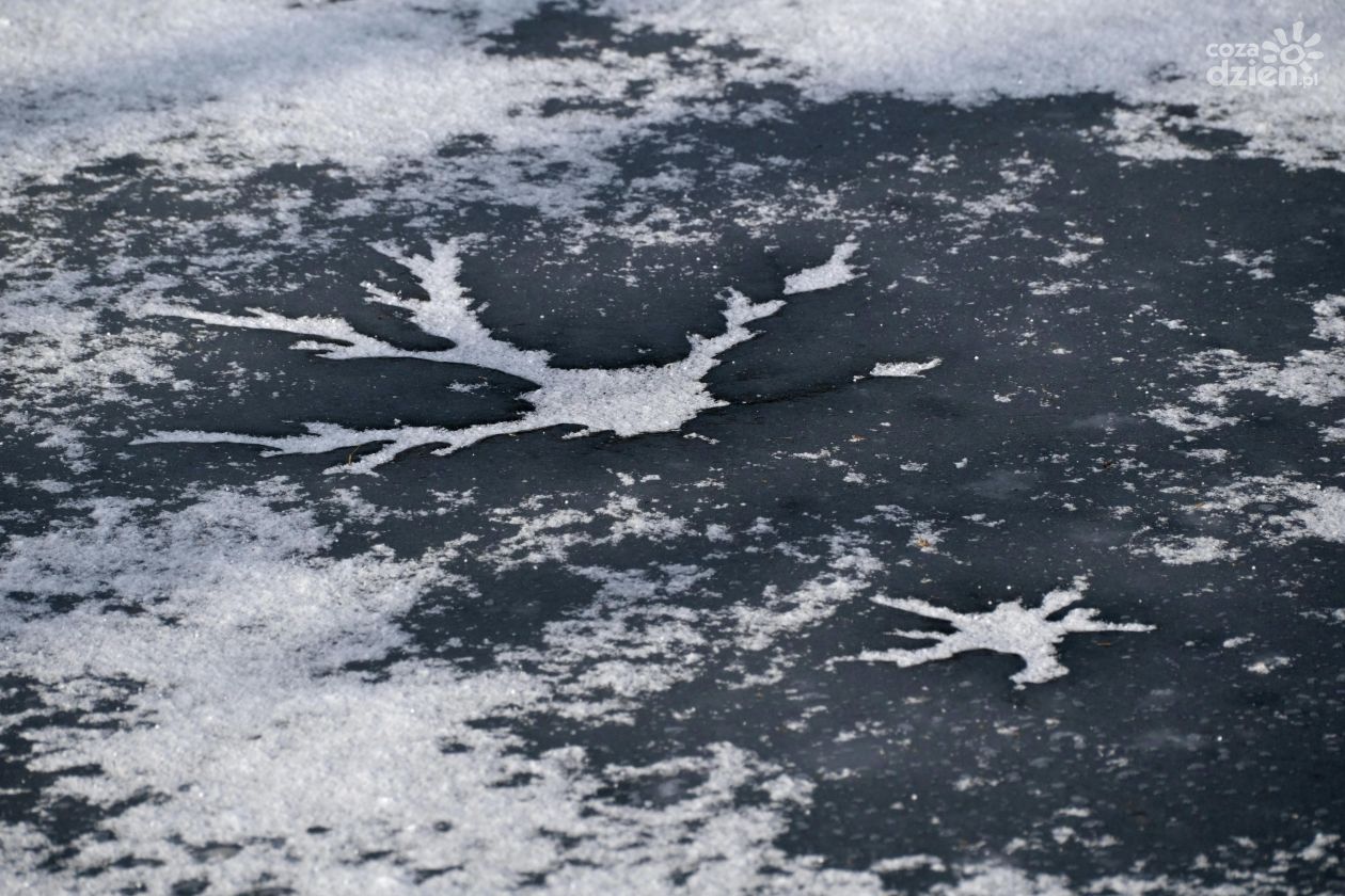 Zamarznięte akweny to śmiertelna pułapka. Służby apelują o rozwagę zimą