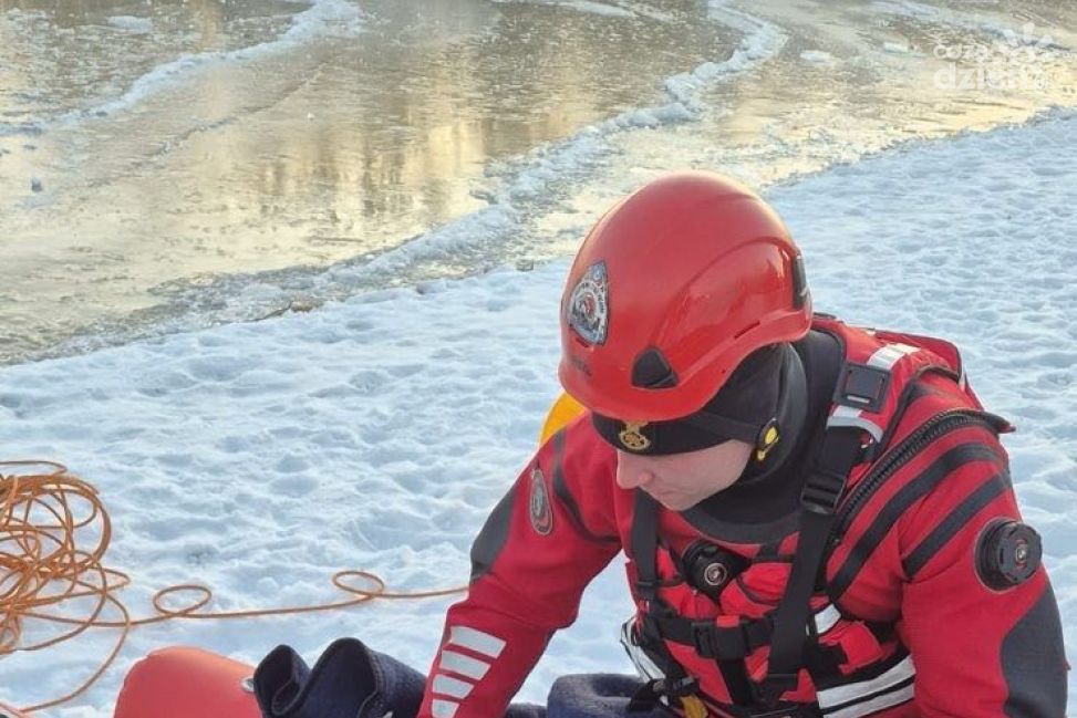Ratowali łabędzia na zamarzniętym Jeziorze Tarnobrzeskim. Akcja strażaków ostrzeżeniem przed wchodzeniem na lód