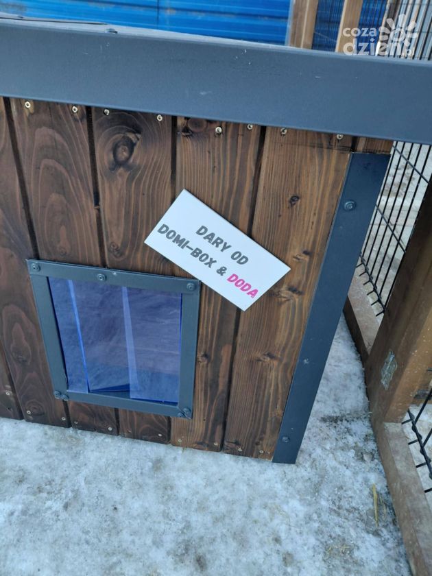 Psiaki ze schroniska w Tarnobrzegu otrzymały wsparcie od Dody i Domi-Box