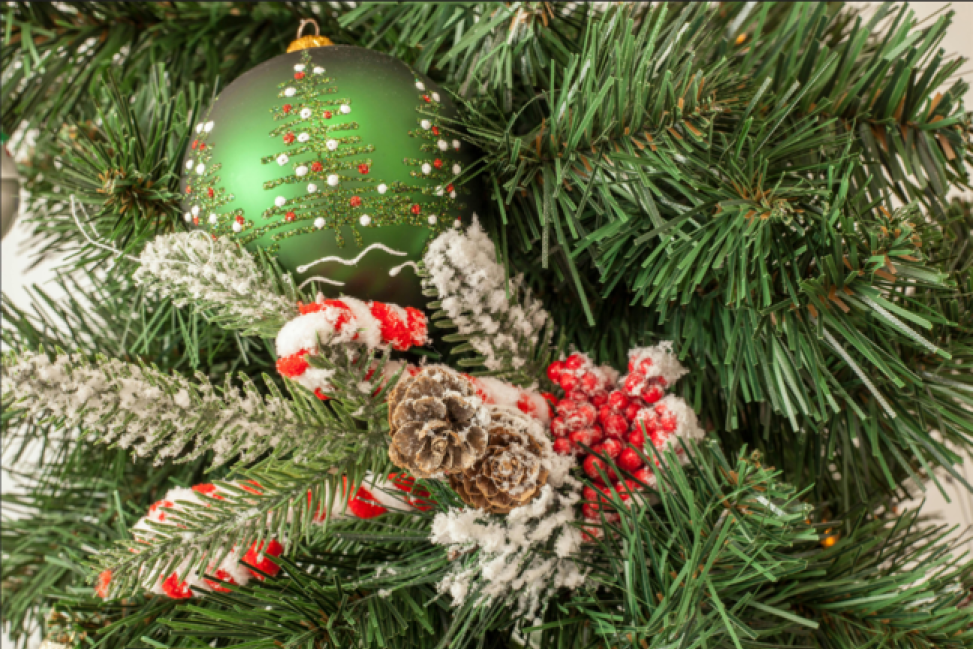 Zbiórka poświątecznych choinek w Sandomierzu. Akcja potrwa od 3 do 6 lutego