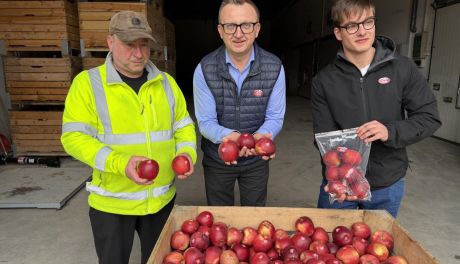 Walentynkowe jabłka od starosty Piwnika i lokalnego sadownika