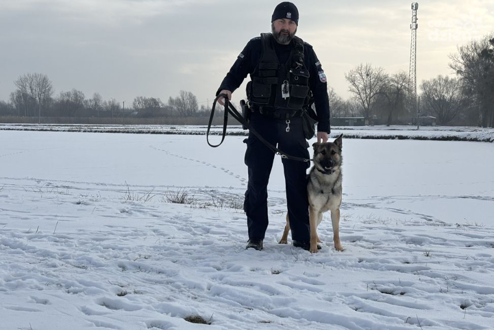 Wagan, nowy policyjny owczarek w Tarnobrzegu, rozpoczął służbę