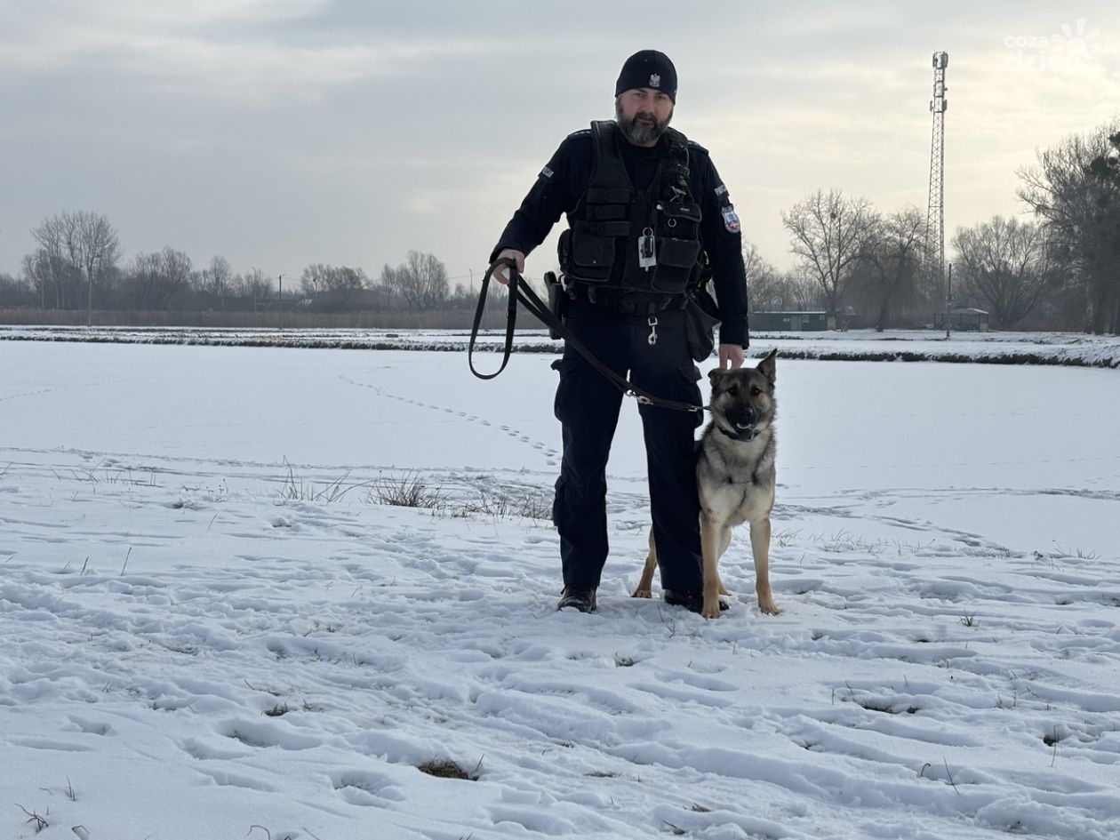 Wagan, nowy policyjny owczarek w Tarnobrzegu, rozpoczął służbę