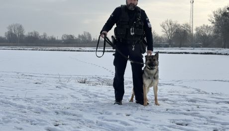 Wagan, nowy policyjny owczarek w Tarnobrzegu, rozpoczął służbę