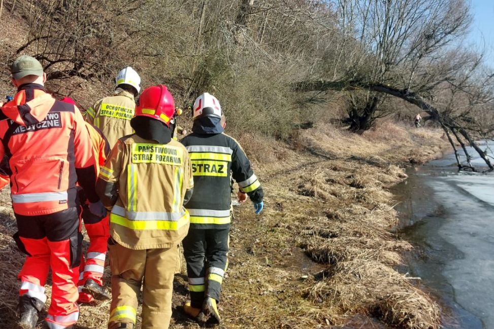 Mężczyzna z urazem głowy odnaleziony w międzywalu Wisły w Kamieniu Łukawskim