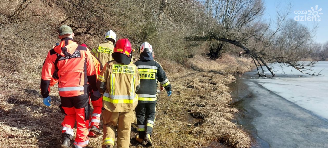 Mężczyzna z urazem głowy odnaleziony w międzywalu Wisły w Kamieniu Łukawskim