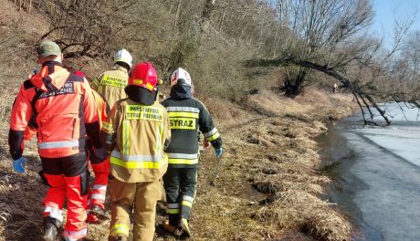Mężczyzna z urazem głowy odnaleziony w międzywalu Wisły w Kamieniu Łukawskim
