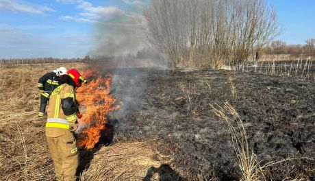 Siedem pożarów traw jednego dnia. Ponad siedem godzin akcji strażaków