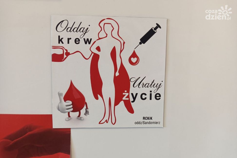 „Oddaj krew za babeczkę” – krwiodawcy nagradzani słodkimi wypiekami
