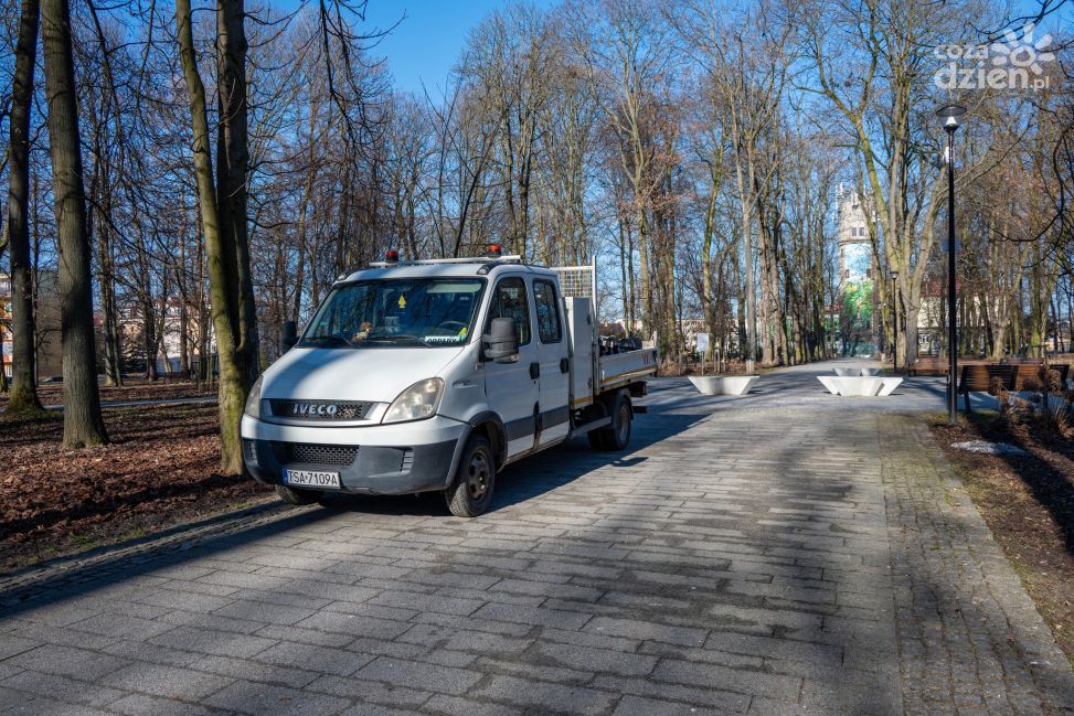 Mieszkańcy skarżyli się na ptaki. W Ogrodzie Saskim usunięto ponad 150 gniazd