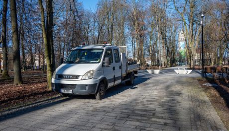 Mieszkańcy skarżyli się na ptaki. W Ogrodzie Saskim usunięto ponad 150 gniazd