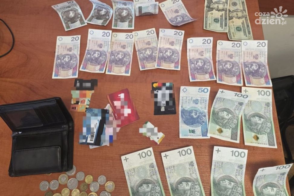 Policja rozwiązała sprawę kradzieży w sadach. 32-latek zatrzymany