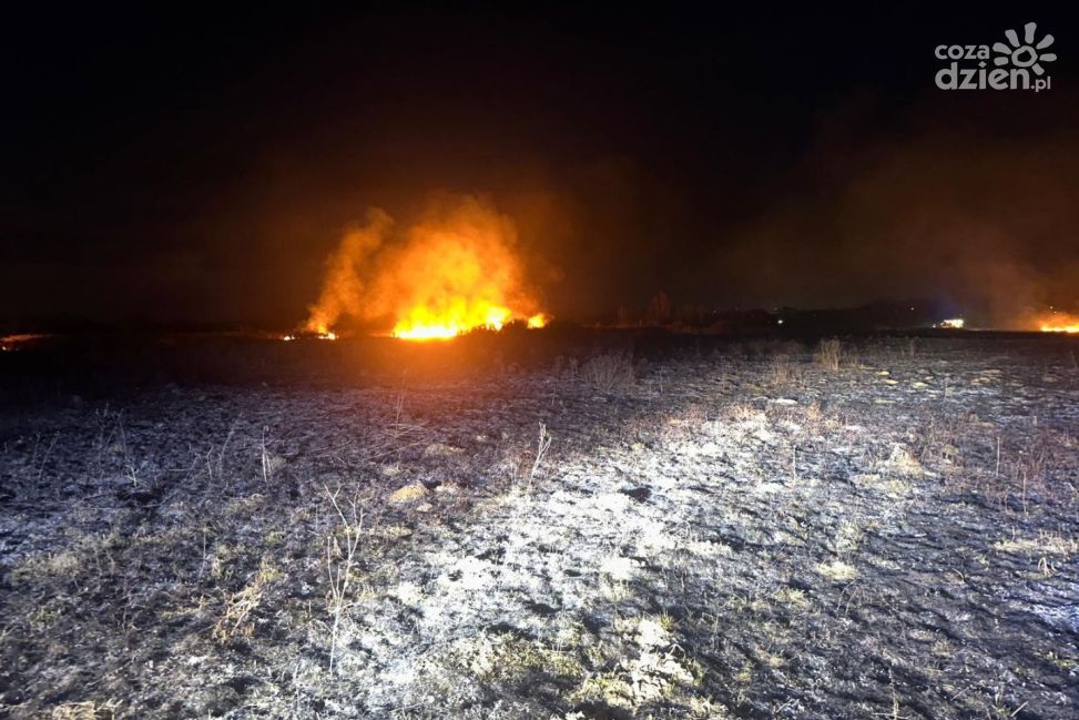 Pożary traw w powiecie sandomierskim. Strażacy przypominają o czyszczeniu kominów