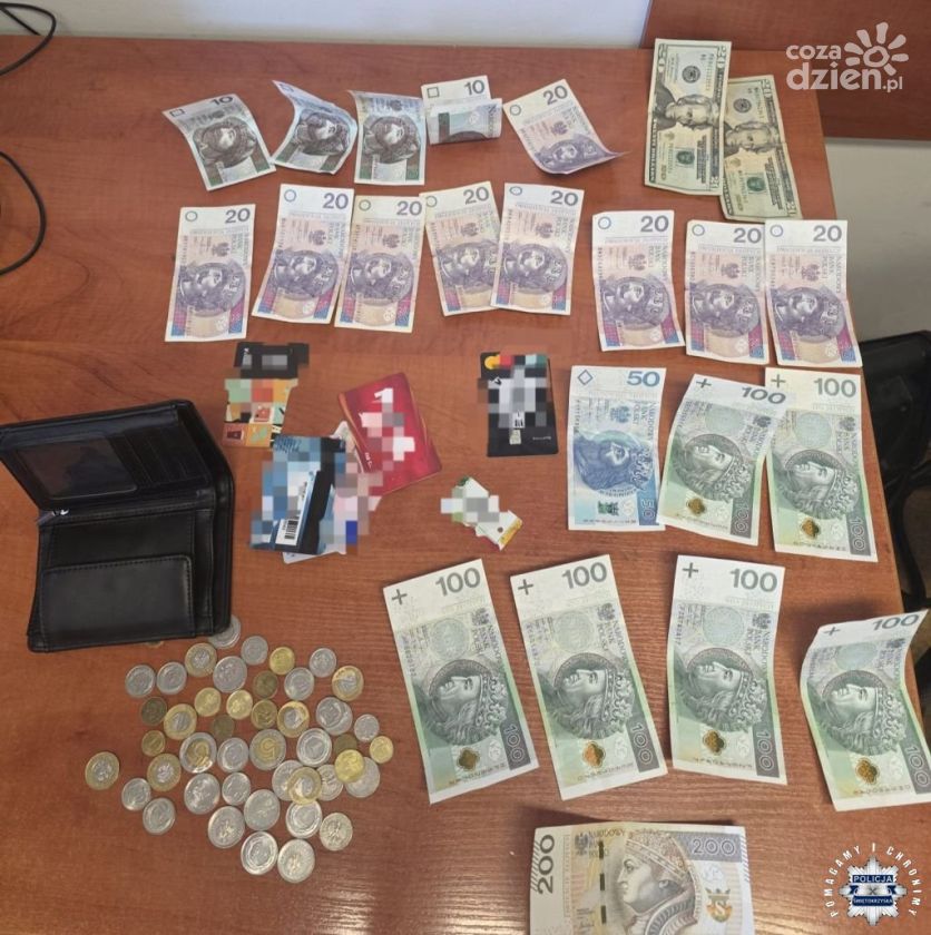 Policja rozwiązała sprawę kradzieży w sadach. 32-latek zatrzymany