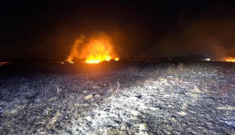 Pożary traw w powiecie sandomierskim. Strażacy przypominają o czyszczeniu kominów