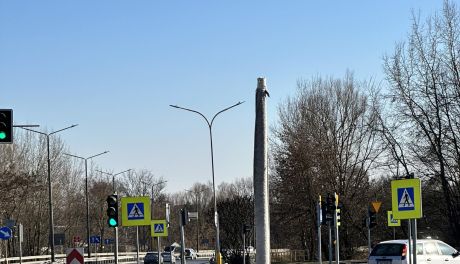 Nowy fotoradar w Sandomierzu. Urządzenie stanie przy ruchliwym skrzyżowaniu