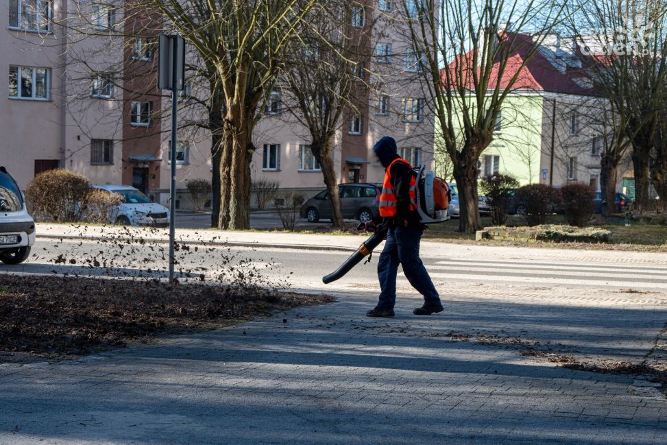 Wiosenne porządki w zieleni miejskiej. Wkrótce w Sandomierzu pojawią się pierwsze bratki