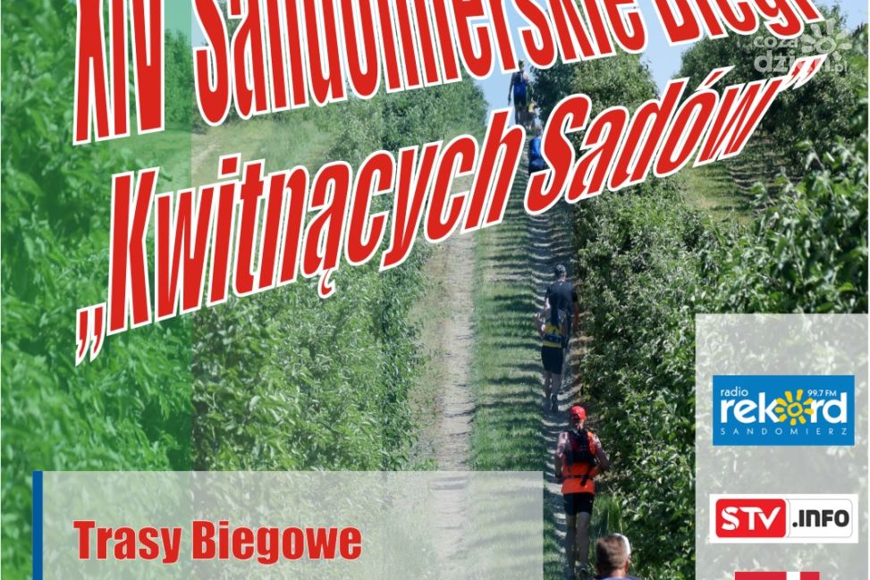 XIV Sandomierskie Biegi „Kwitnących Sadów” już 9 maja