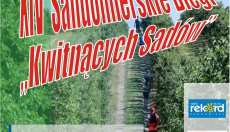XIV Sandomierskie Biegi „Kwitnących Sadów” już 9 maja