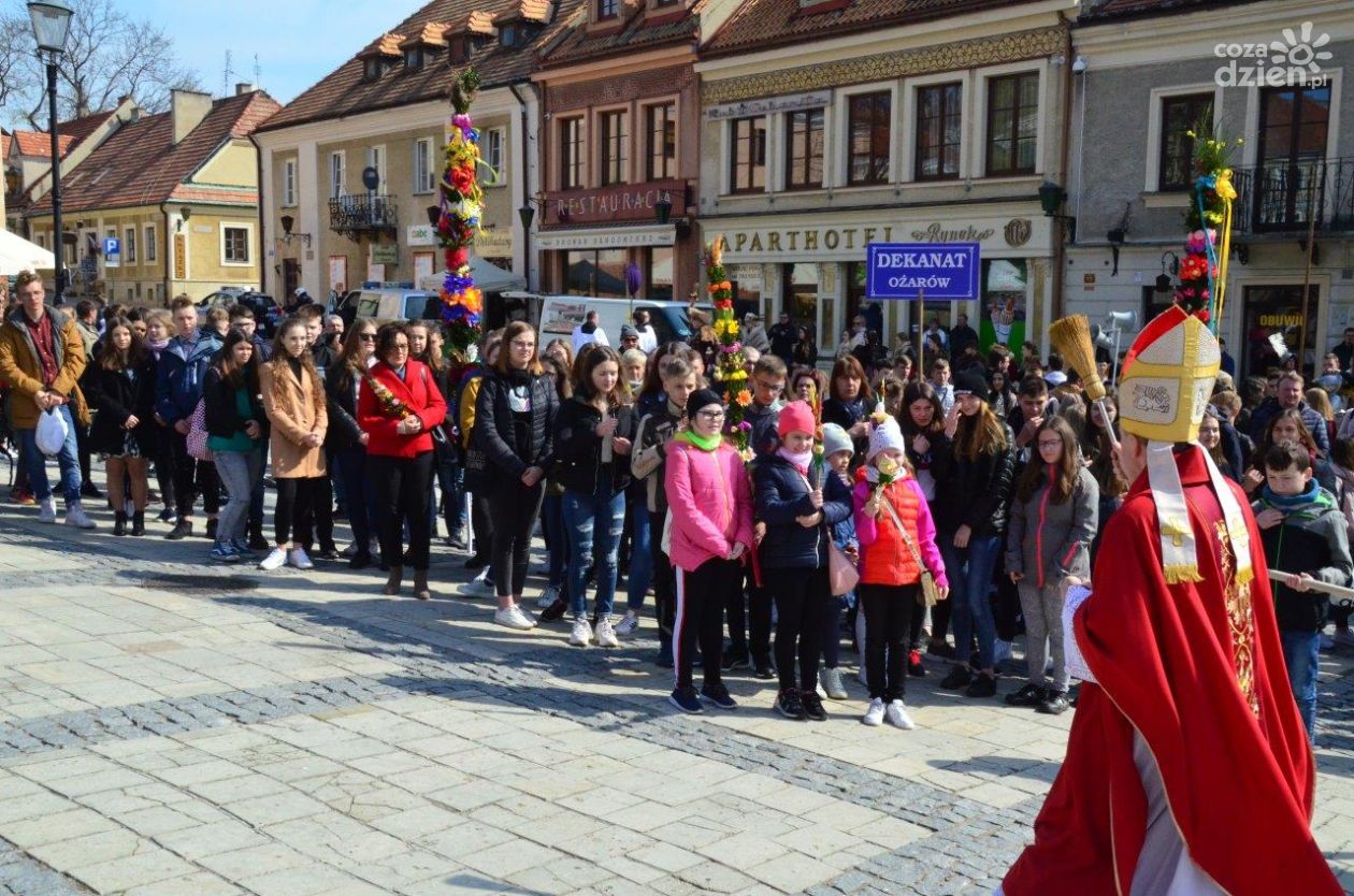 Niedziela Palmowa w Sandomierzu – uroczyste obchody i wspólna modlitwa