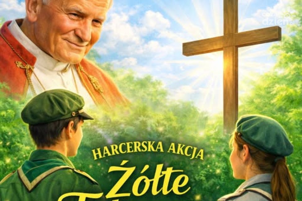 Żółte tulipany wracają. Harcerska akcja pamięci już 2 kwietnia