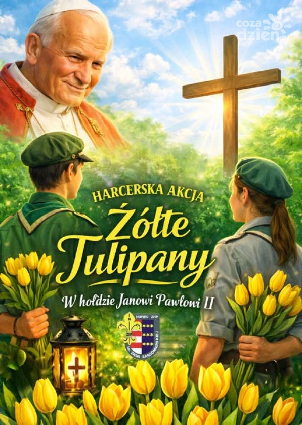 Żółte tulipany wracają. Harcerska akcja pamięci już 2 kwietnia