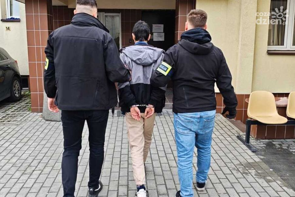 Podpalenia w lasach. Dwóch mężczyzn w areszcie