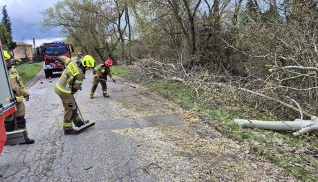 Intensywny drugi dzień świąt. Strażacy interweniowali ponad 150 razy