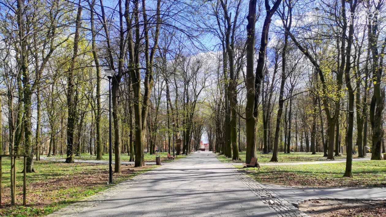 Sandomierz z Aleją Gwiazd? Jest pomysł radnego