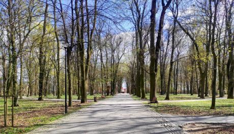 Sandomierz z Aleją Gwiazd? Jest pomysł radnego