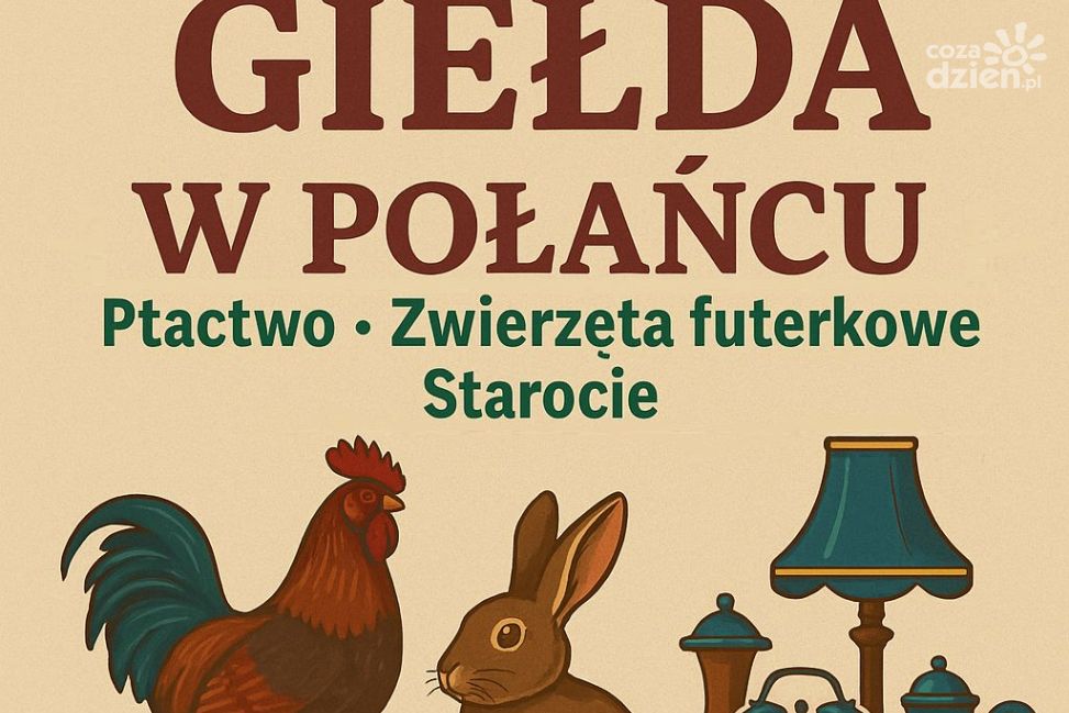 Giełda ptactwa i staroci w Połańcu już w niedzielę. Wczesnoporanne spotkanie pasjonatów i kolekcjonerów