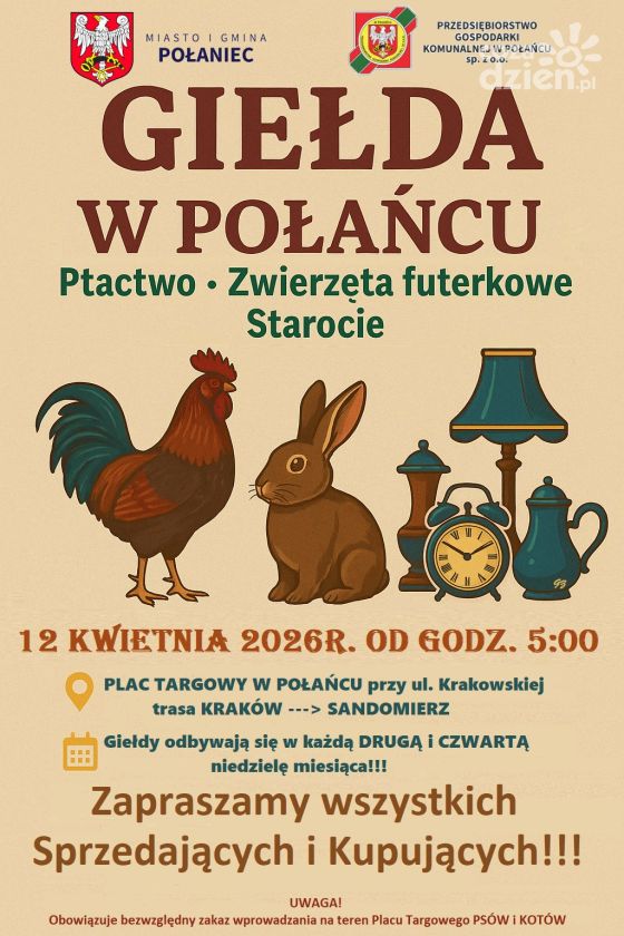 Giełda ptactwa i staroci w Połańcu już w niedzielę. Wczesnoporanne spotkanie pasjonatów i kolekcjonerów