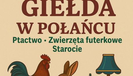 Giełda ptactwa i staroci w Połańcu już w niedzielę. Wczesnoporanne spotkanie pasjonatów i kolekcjonerów