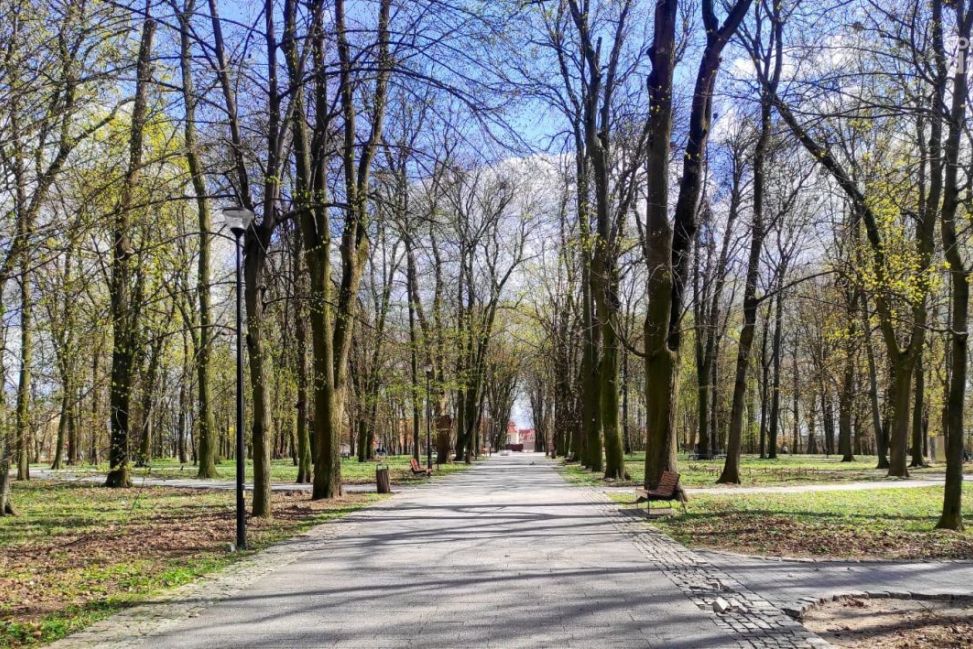 Aleja Gwiazd w Sandomierzu? Burmistrz: pomysł ciekawy, ale nie w tym miejscu