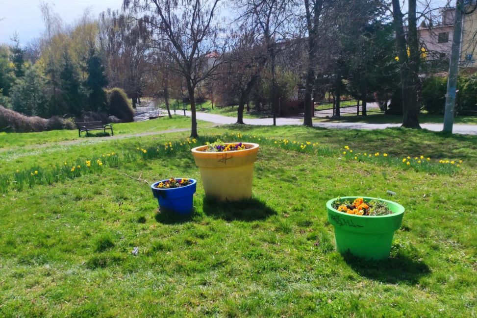 Pierwsze wiosenne nasadzenia już zakończone