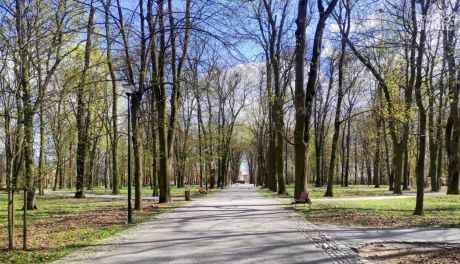 Aleja Gwiazd w Sandomierzu? Burmistrz: pomysł ciekawy, ale nie w tym miejscu