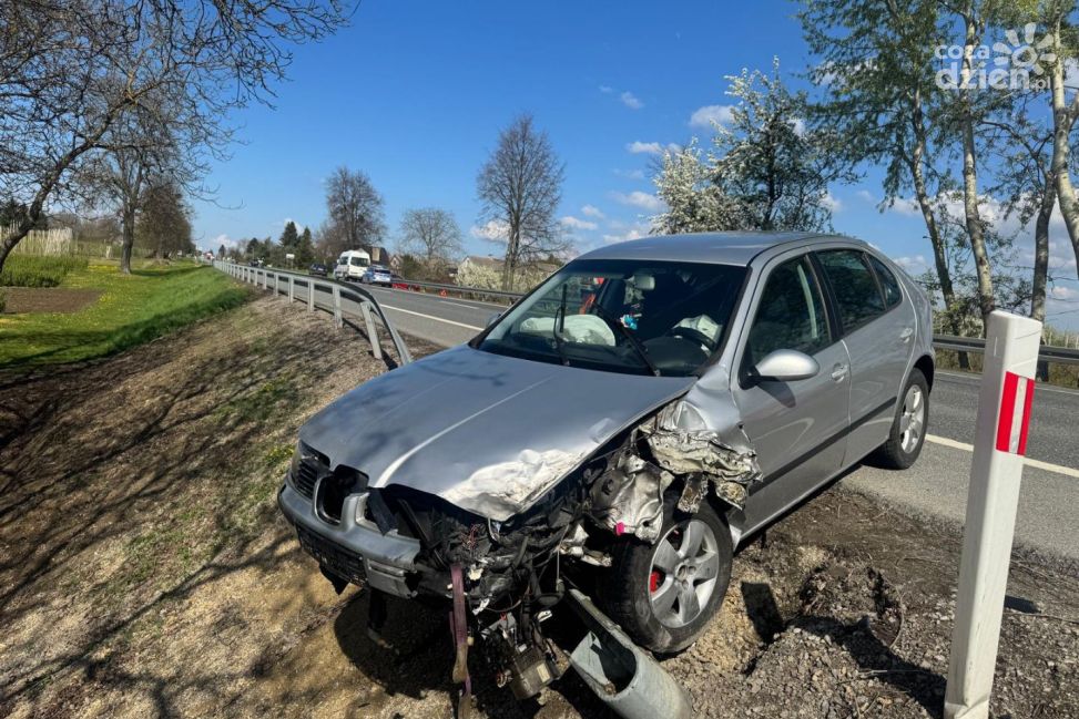 Zderzenie po wtargnięciu psa na jezdnię. Groźne zdarzenie w Kleczanowie
