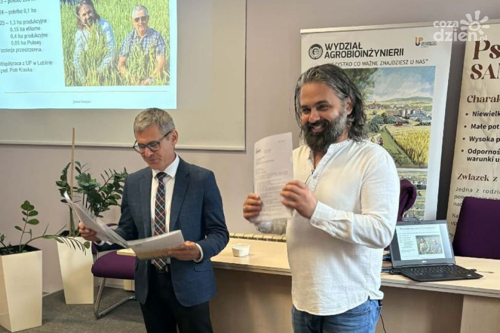 „Sandomierka” wraca do korzeni. Konferencja o tradycyjnej pszenicy w Sandomierzu