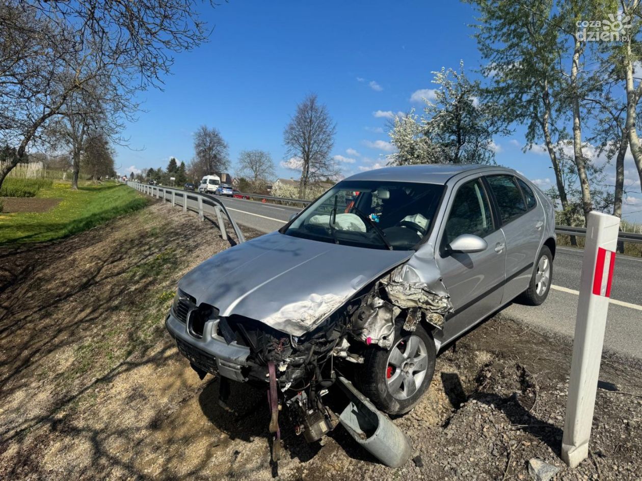 Zderzenie po wtargnięciu psa na jezdnię. Groźne zdarzenie w Kleczanowie