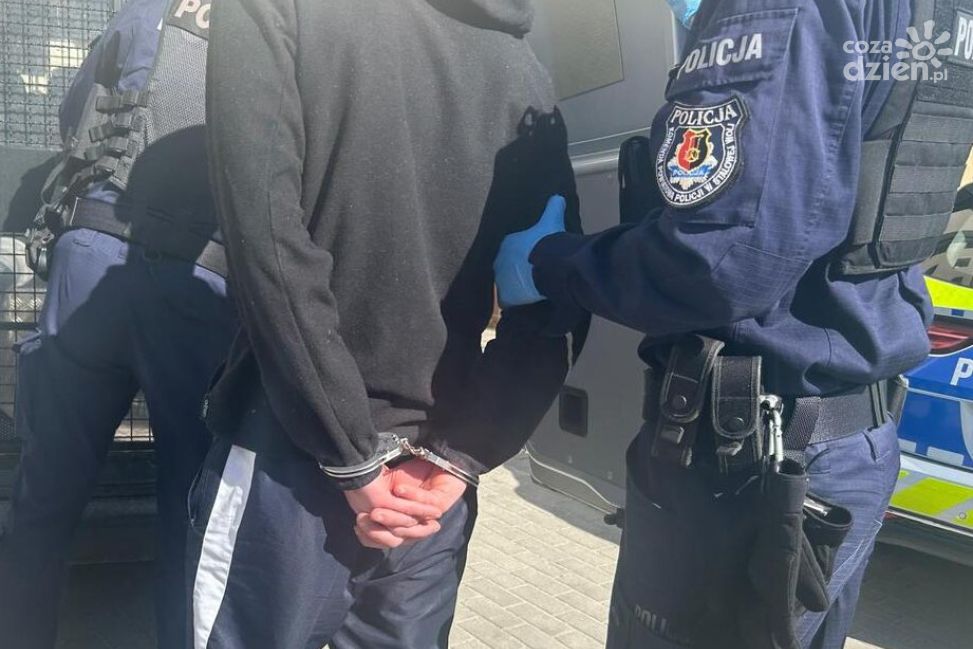 Areszt za znęcanie się nad psem. 38-latek zatrzymany w Stalowej Woli