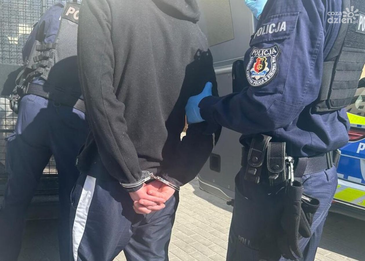 Areszt za znęcanie się nad psem. 38-latek zatrzymany w Stalowej Woli