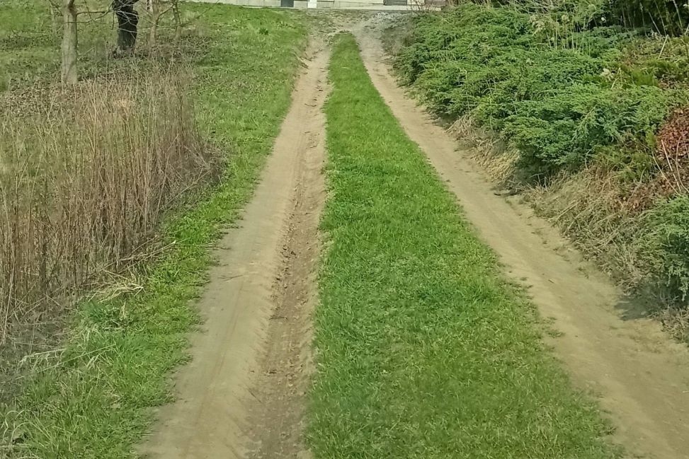 Interpelacja w sprawie drogi przy ul. Podmiejskiej w Sandomierzu