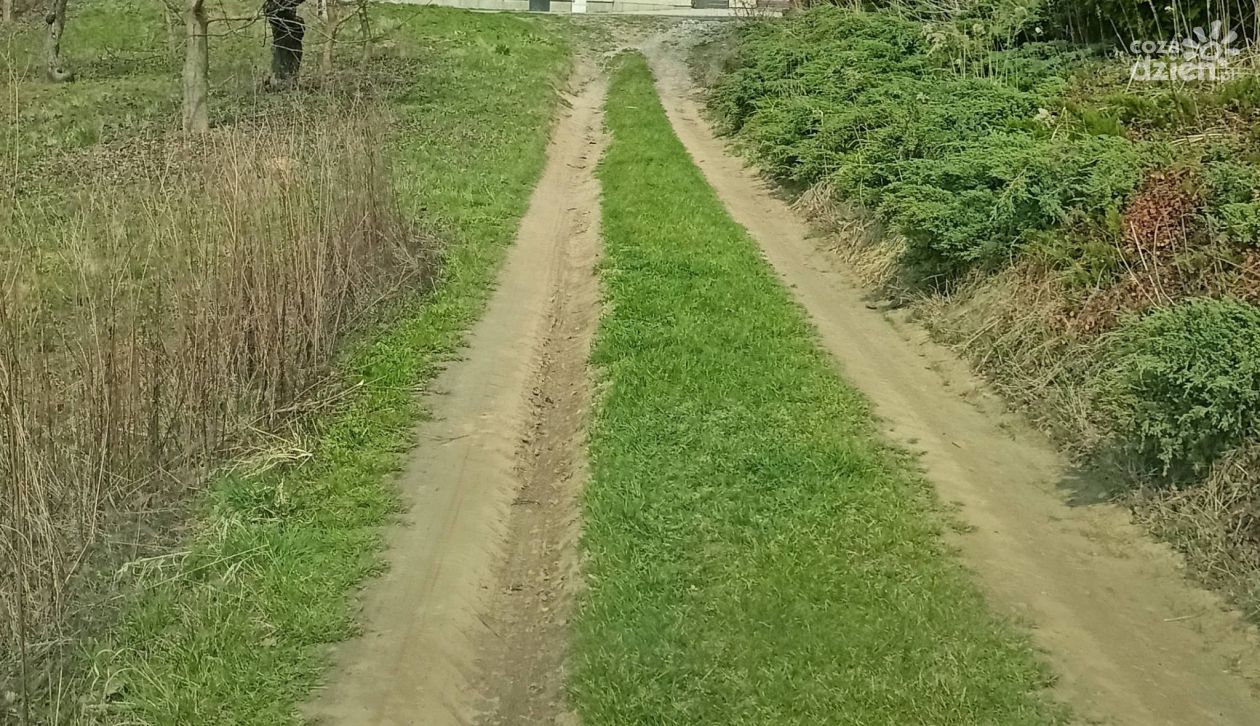 Interpelacja w sprawie drogi przy ul. Podmiejskiej w Sandomierzu