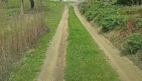 Interpelacja w sprawie drogi przy ul. Podmiejskiej w Sandomierzu