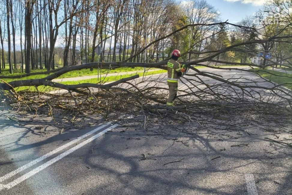 Setki interwencji strażaków. Intensywny weekend w regionie świętokrzyskim