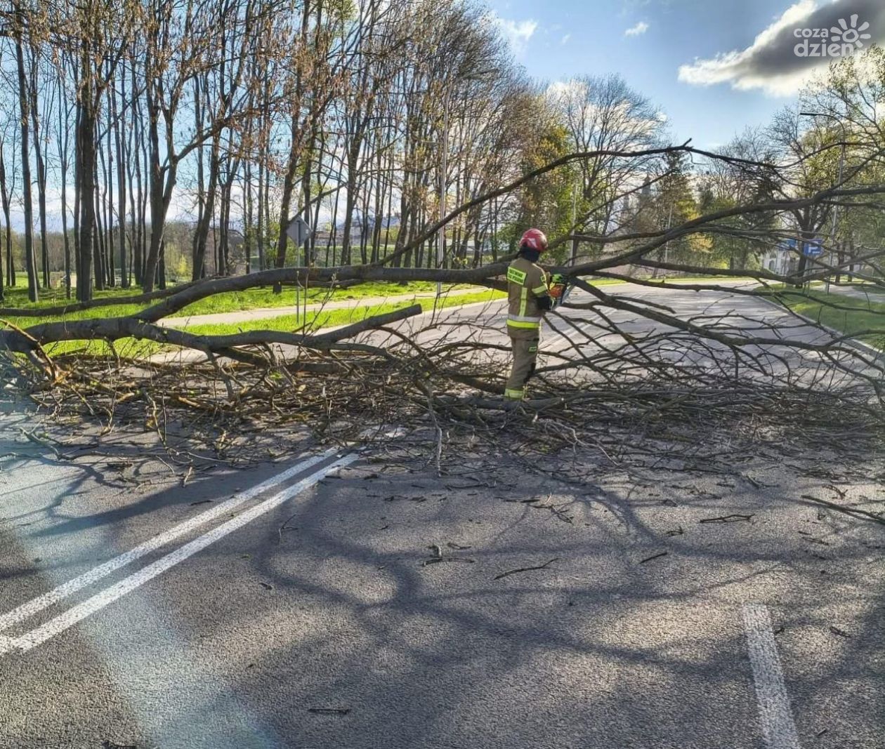 Setki interwencji strażaków. Intensywny weekend w regionie świętokrzyskim