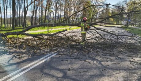Setki interwencji strażaków. Intensywny weekend w regionie świętokrzyskim